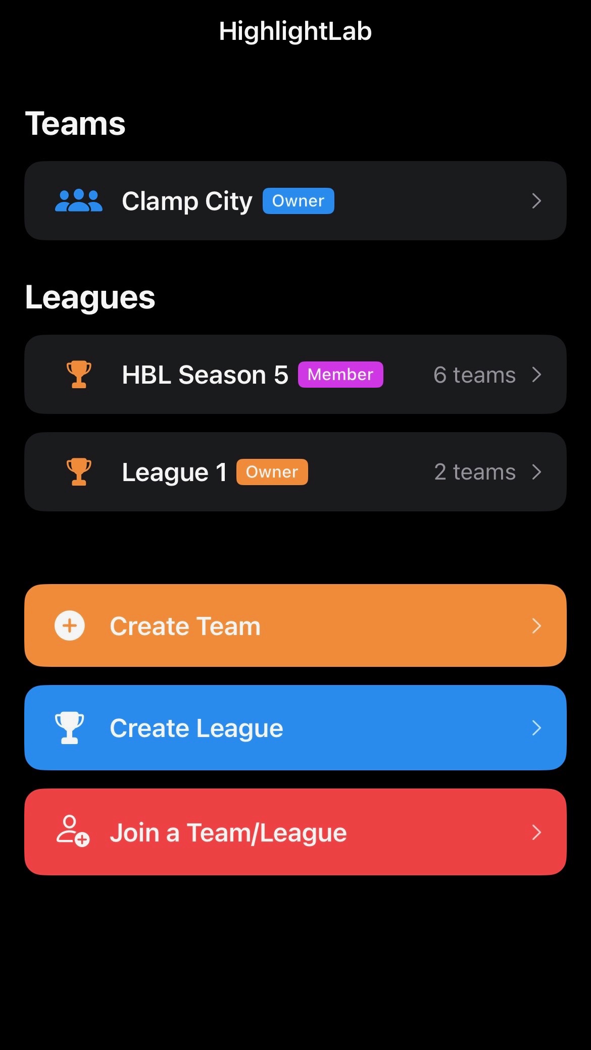 Dashboard listing your teams and leagues